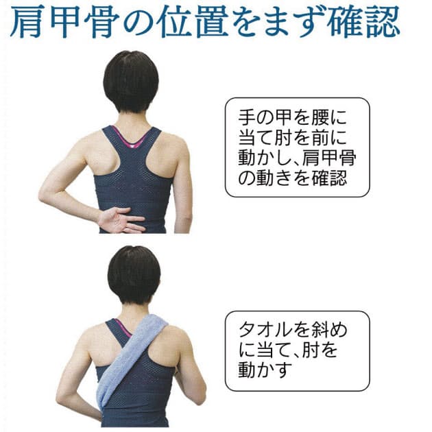 肩甲骨 自在に動かし軽快に 冬のこわばり楽しく解消 Nikkei Style