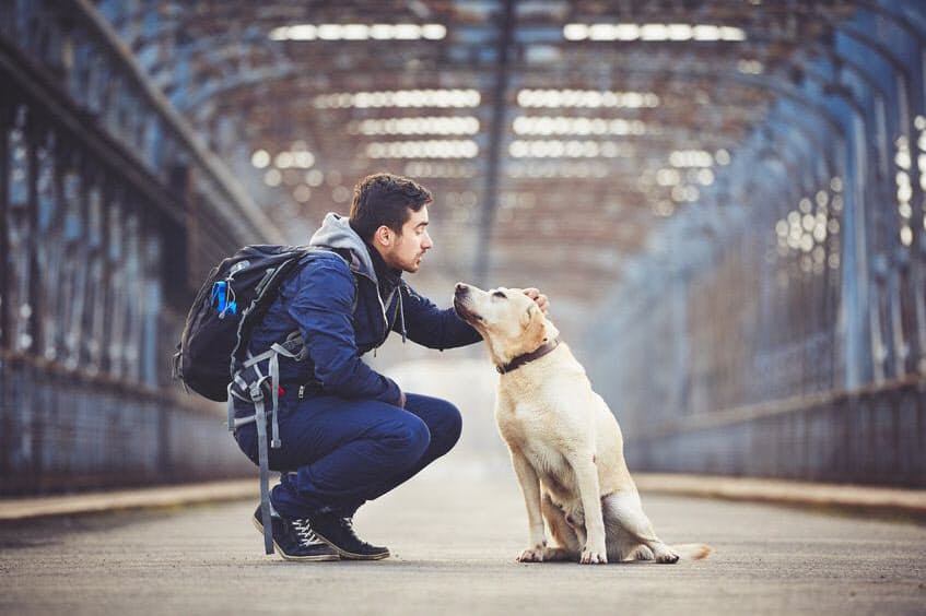 犬との暮らしは寿命を延ばす 最新研究が示すこと ヘルスup Nikkei Style