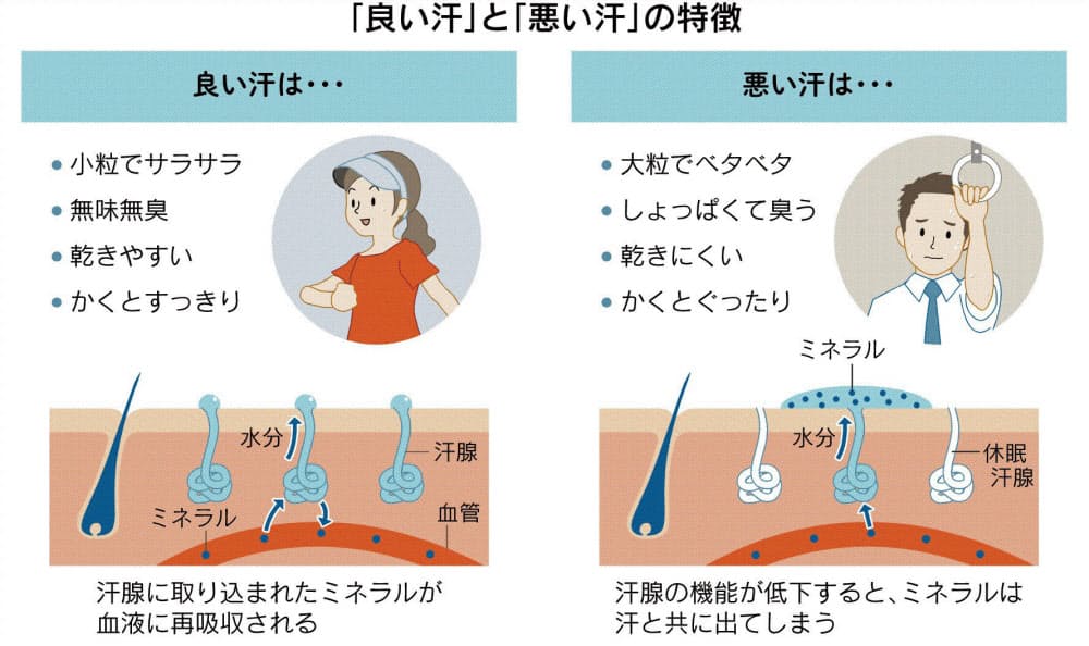 汗 を かく 人 か かない 人 違い