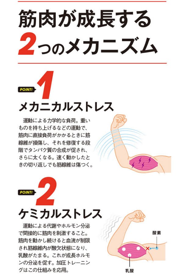 1日5分の 速トレ スロトレ これぞ最強の筋トレ術 Nikkei Style 1日5分の 速トレ スロトレ これぞ最強の筋トレ術 Nikkei Style