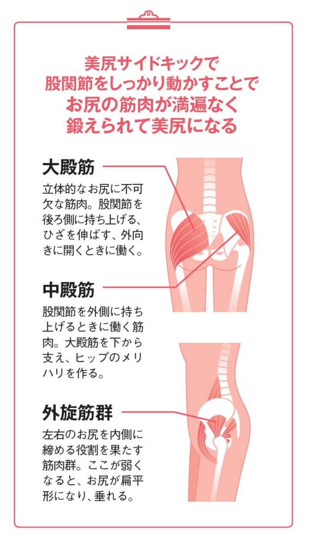 お尻がキュッと持ち上がる 1分美尻サイドキック Nikkei Style お尻がキュッと持ち上がる 1分美尻サイドキック Nikkei Style