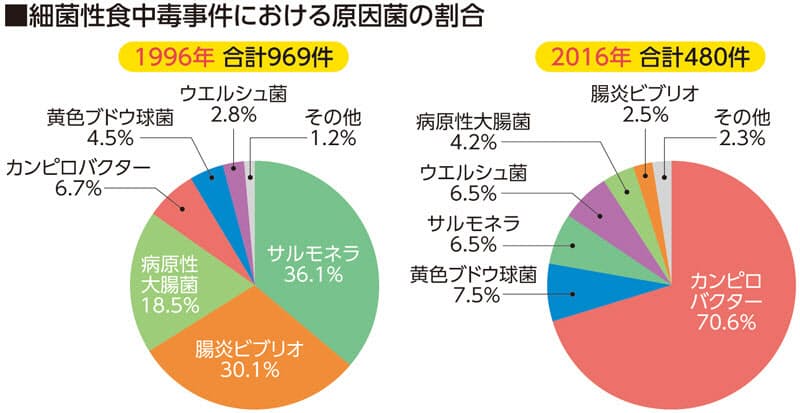 カンピロバクター 加熱