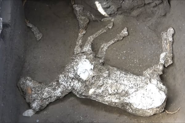 脳が溶けガラス化 古代ローマ噴火の死因に2つの新説 Nikkei Style 脳が溶けガラス化 古代ローマ噴火の死因に2つの新説 Nikkei Style