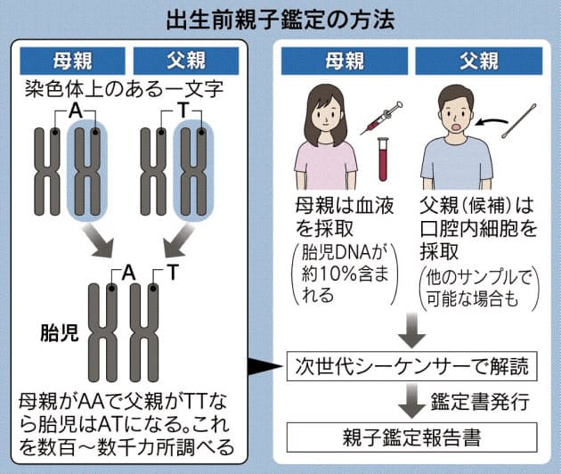 染色体 dna 違い