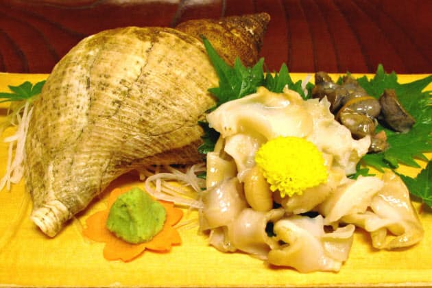 キトキトでコリコリ うまみ広がる 富山湾のバイ貝 トラベル Nikkei Style