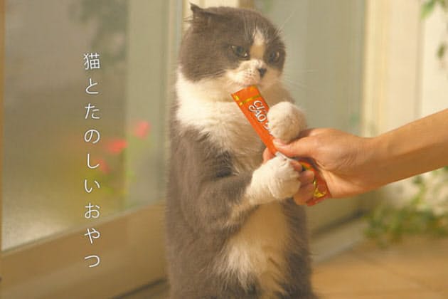 猫のおやつ Ciaoちゅ る 大ヒットの裏側 Mono Trendy Nikkei Style