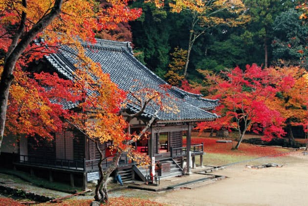 紅葉の奈良 4つの穴場巡り 撮影のコツは 逆光 Nikkei Style