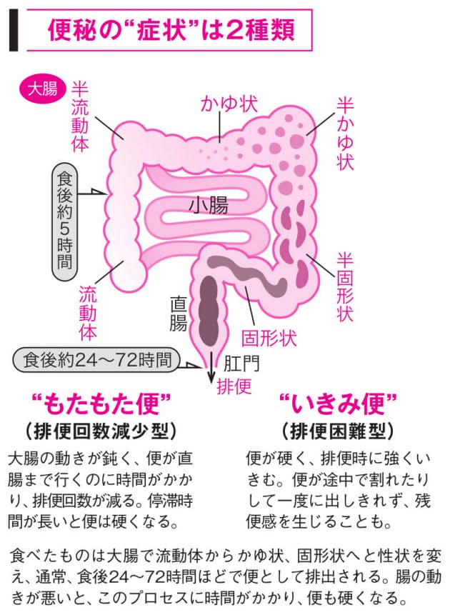 ない 出 うんち が 固く て