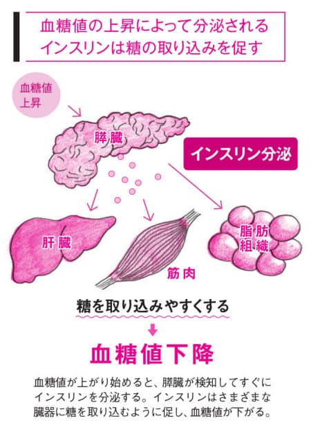 怖い食後の血糖値急上昇 傷む血管 疾患のリスクに Nikkei Style