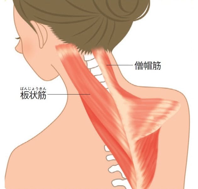 スマホ首 ストレッチ 肩こり 首こり 猫背も解消 Nikkei Style