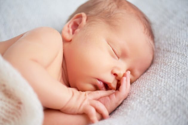 マウスで実現 夢無し睡眠 眠らないのは幸せか Nikkei Style マウスで実現 夢無し睡眠 眠らないのは幸せか Nikkei Style