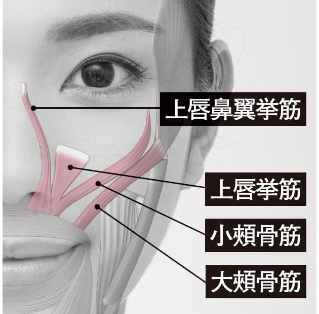 表情筋をゆるめるとほうれい線が消える 硬直した顔筋ほぐして老化防止 ほうれい線 Nikkei Style