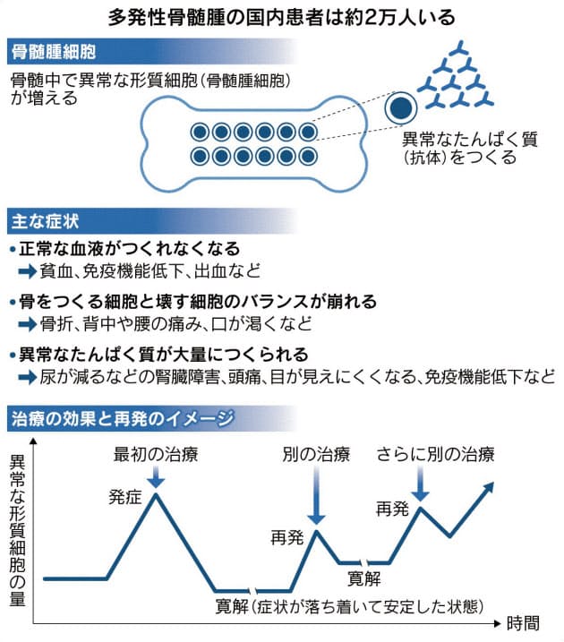 血液のがん 多発性骨髄腫に新薬続々 治療に幅 Nikkei Style 血液のがん 多発性骨髄腫に新薬続々 治療に幅 Nikkei Style