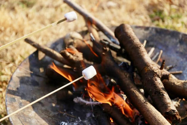 冬は焼きマシュマロ たき火であぶってトロリ味わう グルメクラブ Nikkei Style