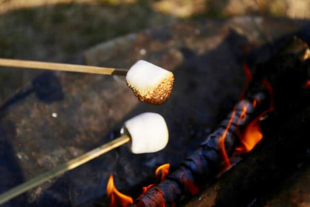 冬は焼きマシュマロ たき火であぶってトロリ味わう Nikkei Style 冬は焼きマシュマロ たき火であぶってトロリ味わう Nikkei Style