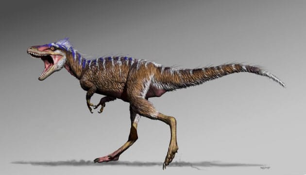 ティラノサウルス巨大化の謎解くカギ 小柄な祖先発見 Nikkei Style