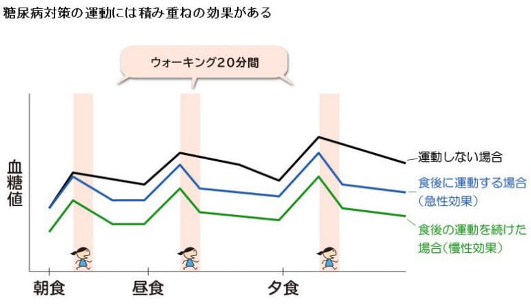 食後の運動を続ければ続けるほど効果がある 血糖値を下げるための運動 いつ行うの Nikkei Style