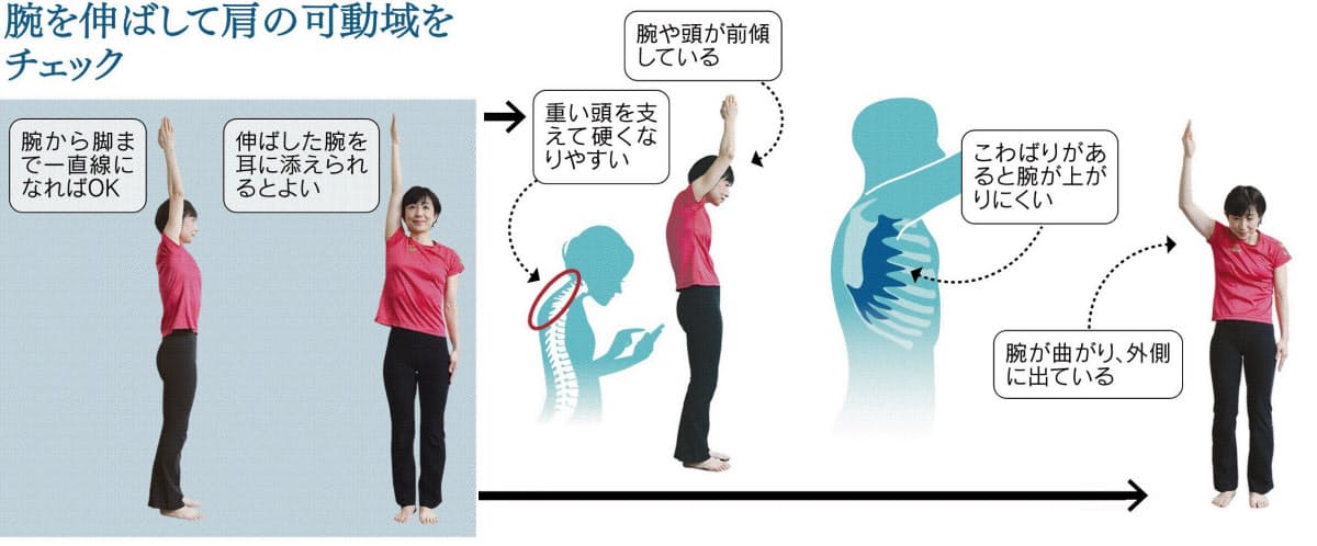 肩凝り 腰痛 こわばる筋肉緩める 抵抗運動 Nikkei Style 肩凝り 腰痛 こわばる筋肉緩める 抵抗運動 Nikkei Style