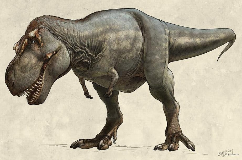 史上最大のティラノサウルス ゾウより重い約9トン ナショジオ Nikkei Style