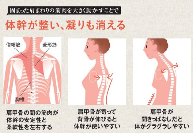 肩こり解消 猫背も治そう 肩甲骨のリセット運動 Woman Smart Nikkei Style