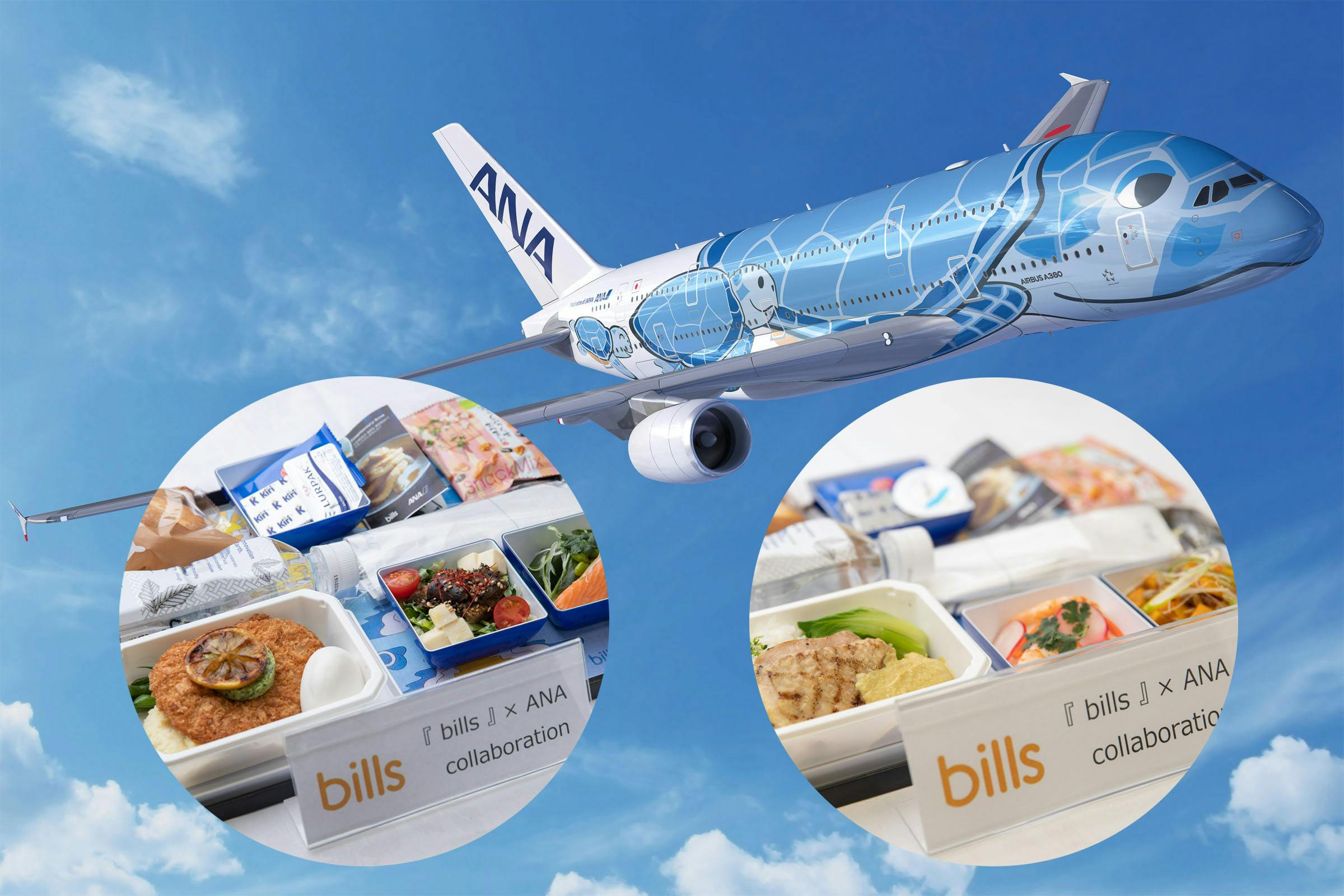 Anaハワイ便の機内食 エコノミーを1種類にした理由 Nikkei Style Anaハワイ便の機内食 エコノミーを1種類にした理由 Nikkei Style
