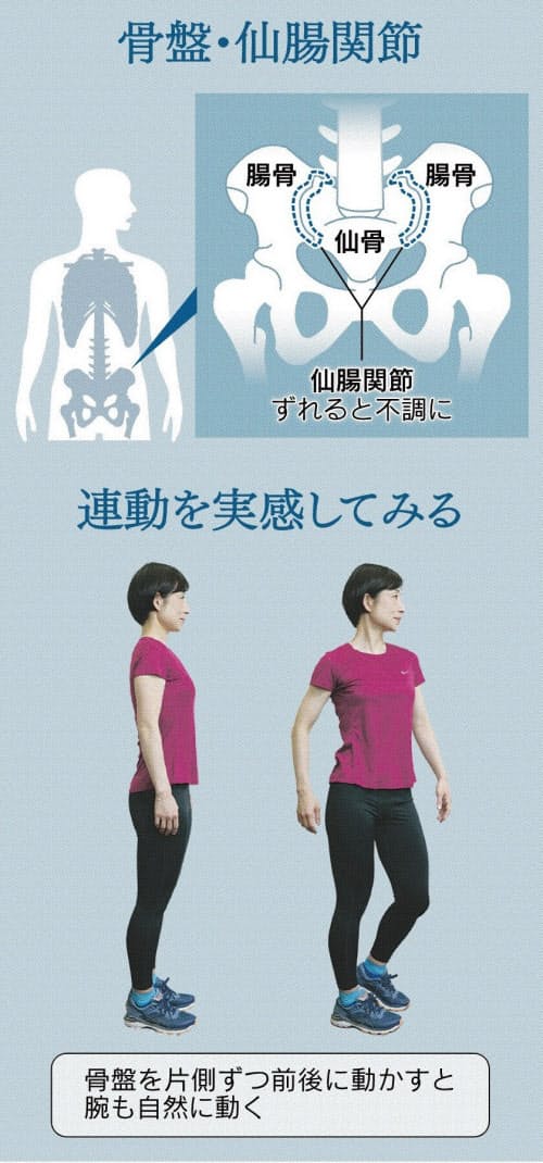 夏休み前に骨盤ほぐし体操 腰にキレ 動きやすい体に Nikkei Style