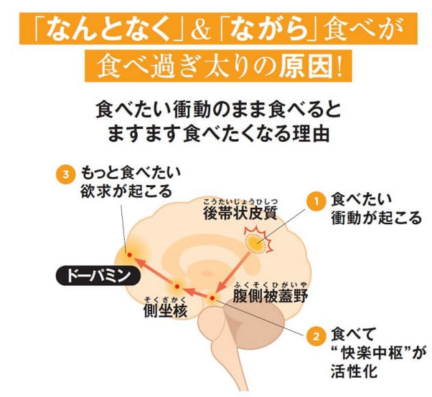 太らない脳に変える 30秒食事見るだけダイエット Woman Smart Nikkei Style