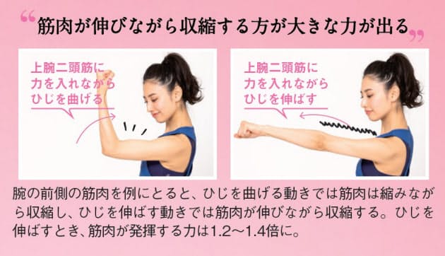 ずぼらでも筋肉は増える 週3回の 筋肉貯金 下腹 お尻 太ももを引き締め Nikkei Style ずぼらでも筋肉は増える 週3回の 筋肉貯金 下腹 お尻 太ももを引き締め Nikkei Style