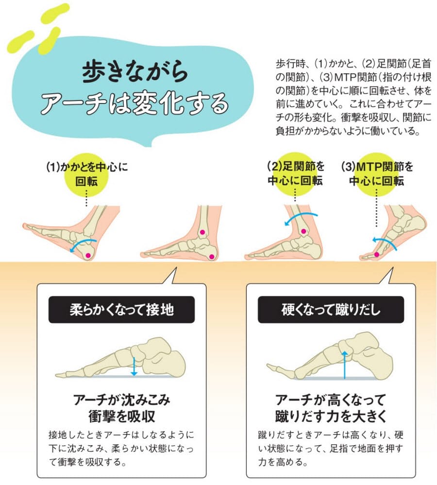 アーチは歩行時に変化する 健やかに歩き続ける基本 足の3つのアーチを崩さない Nikkei Style