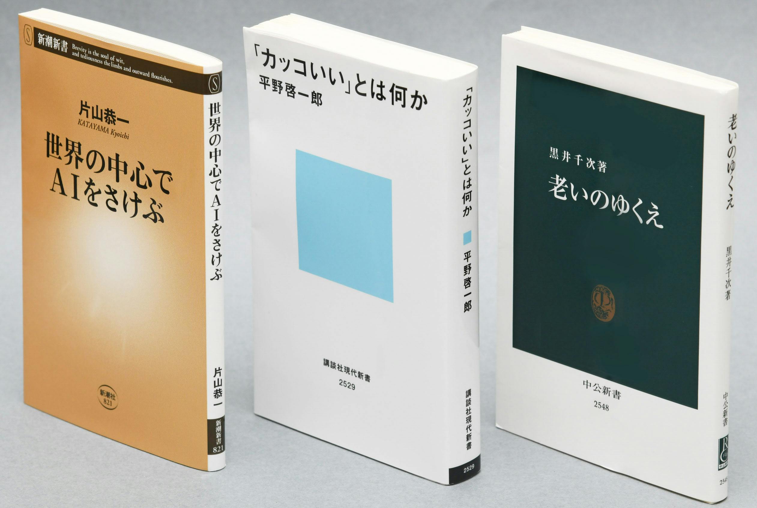 Ai カッコよさ 老い 小説家の思考を新書で探求 Nikkei Style