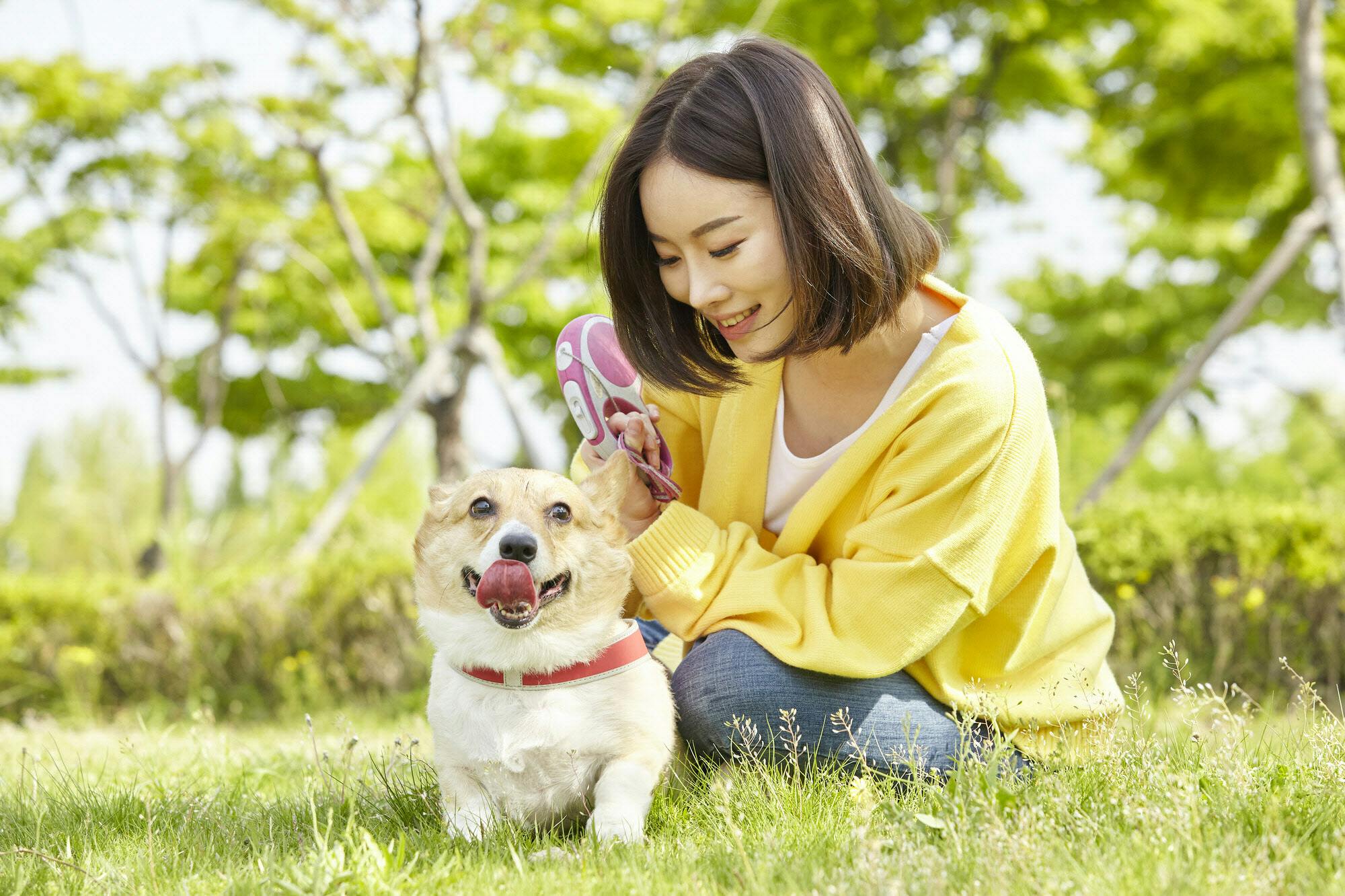 知ってほしい飼い主十戒 心痛む 散歩スマホ 出世ナビ Nikkei Style
