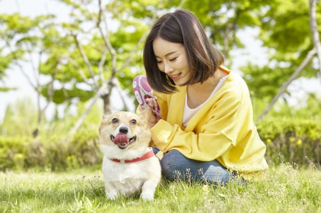 知ってほしい飼い主十戒 心痛む 散歩スマホ Nikkei Style