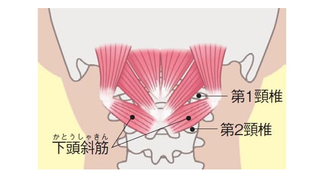 目も腕もつらい スマホ首こり 筋膜はがしでほぐす Woman Smart