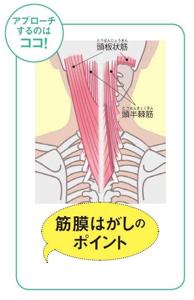 目も腕もつらい スマホ首こり 筋膜はがしでほぐす Nikkei Style