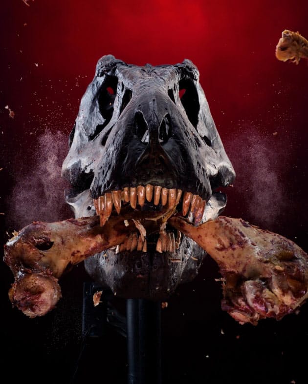 車も砕けるティラノサウルスの顎の力 仕組みを解明 Nikkei Style