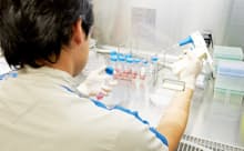 ・がん細胞を使って抗がん剤候補の効果を調べる研究者