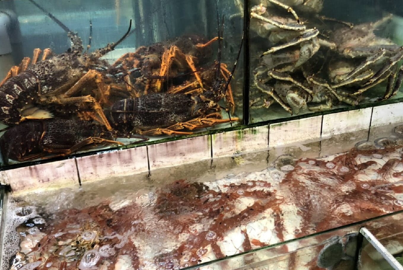 香港 港町の海鮮料理 その場で調理 一人30円 Nikkei Style 香港 港町の海鮮料理 その場で調理 一人30円 Nikkei Style