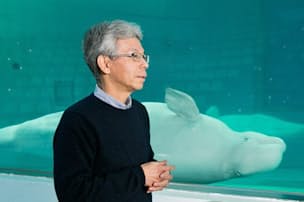 イルカが言葉を覚えた 音 モノ 文字の関連を理解 U22 Nikkei Style