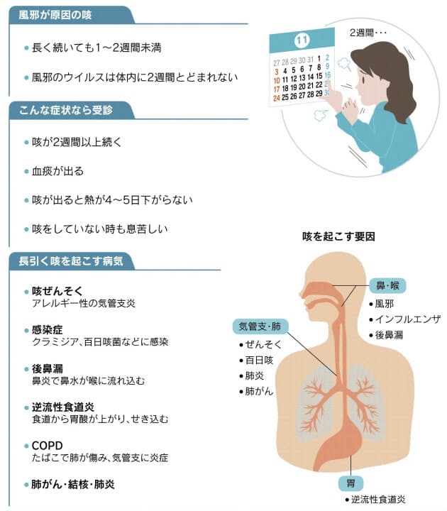 長引く咳 放置すればぜんそくにも 2週間めどに受診 Nikkei Style 長引く咳 放置すればぜんそくにも 2週間めどに受診 Nikkei Style
