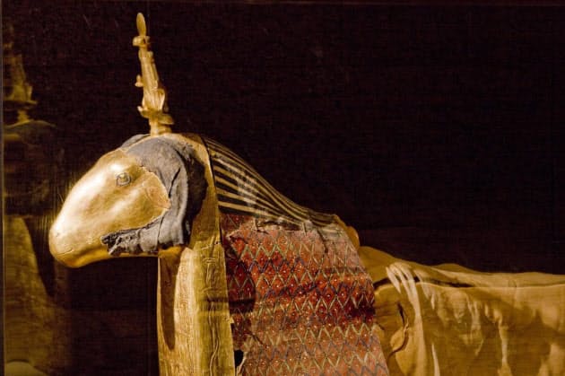 あの十二支たちも 古代エジプトの意外な動物ミイラ Nikkei Style