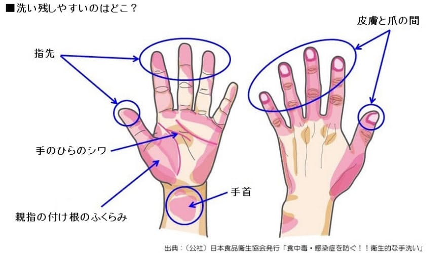 ノロ対策の手洗いに死角 画像が教える思わぬ洗い残し Nikkei Style