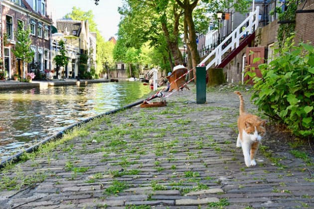 ふらり 世界猫旅 のすすめ 新たな風景 自分を発見 Nikkei Style