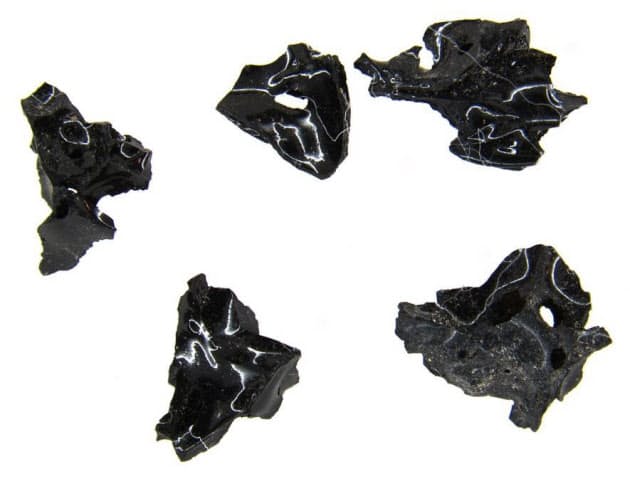 脳が溶けガラス化 古代ローマ噴火の死因に2つの新説 Nikkei Style 脳が溶けガラス化 古代ローマ噴火の死因に2つの新説 Nikkei Style