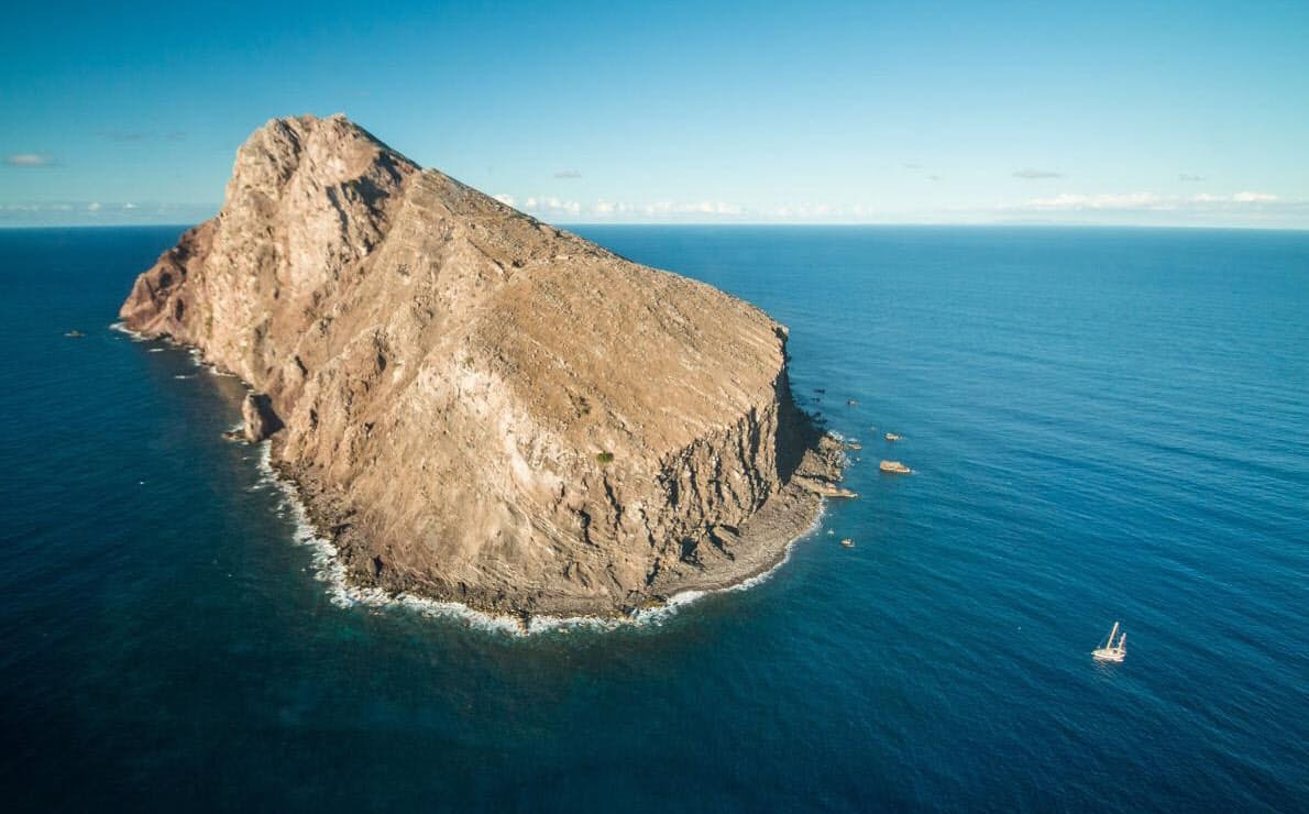 死にゆく島 驚異の再生 人の手超える自然の治癒力 Nikkei Style 死にゆく島 驚異の再生 人の手超える自然の治癒力 Nikkei Style