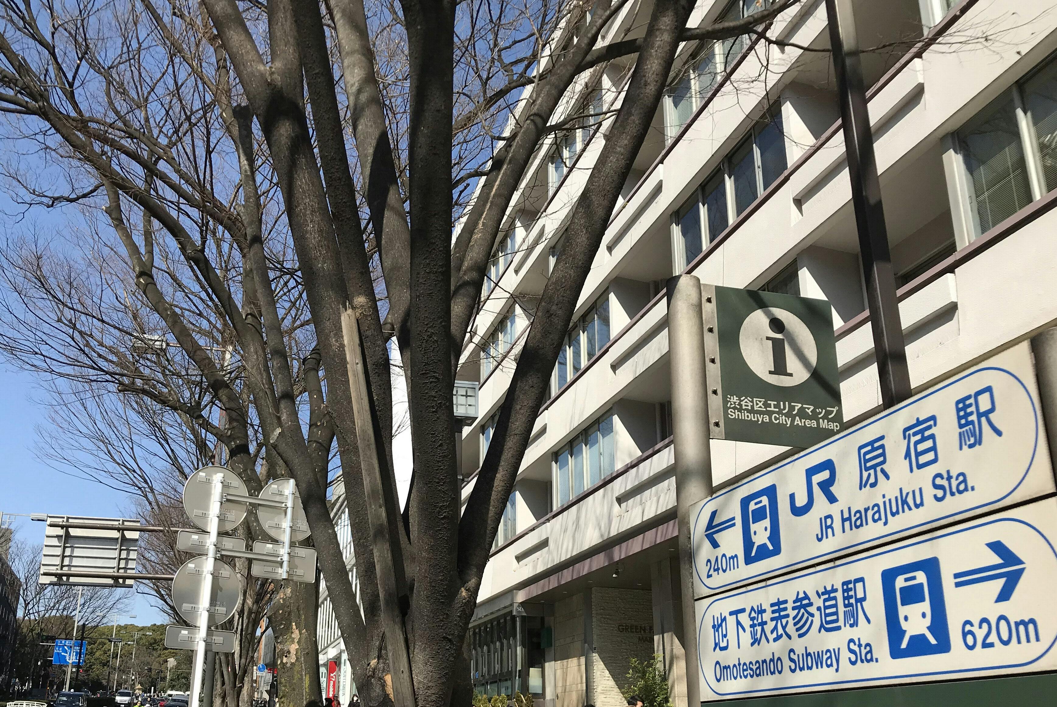 1戸67億円 原宿に超高額マンション 富裕層節税に的 Nikkei Style 1戸67億円 原宿に超高額マンション 富裕層節税に的 Nikkei Style