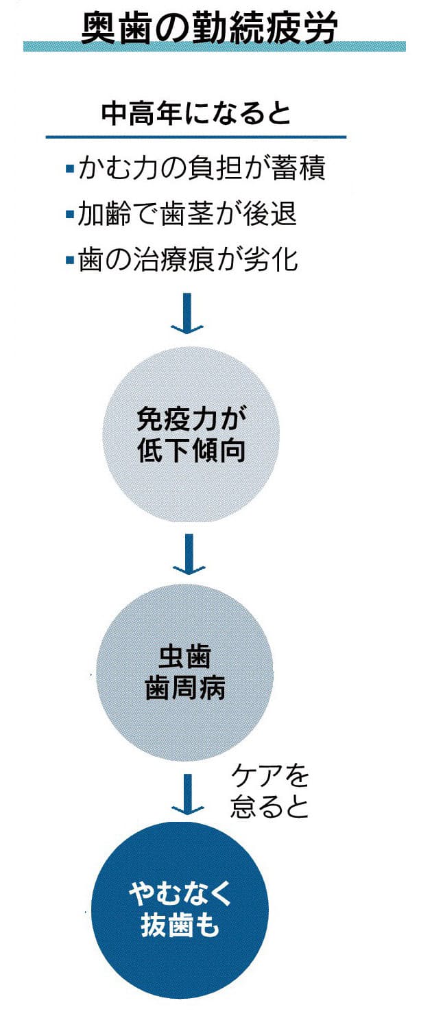奥歯のダメージ放置しない 頭痛 肩こりの要因に Nikkei Style 奥歯のダメージ放置しない 頭痛 肩こりの要因に Nikkei Style