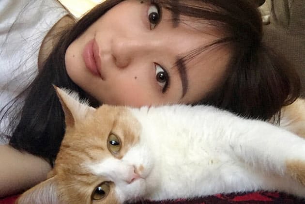 人気モデル 松島花さん宅の甘えん坊の3匹とは Nikkei Style