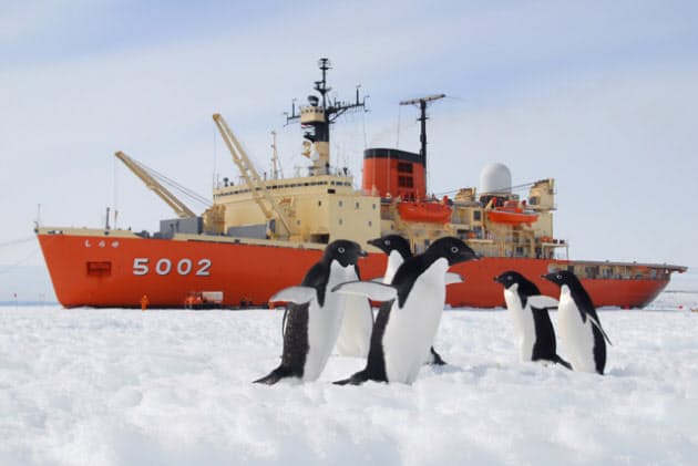観測 隊 南極