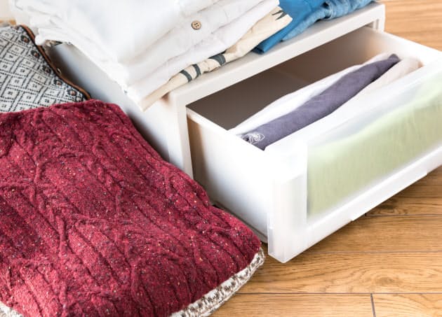 梅雨前の衣替えで防虫対策 次に備え収納は素材で分類 Woman Smart Nikkei Style