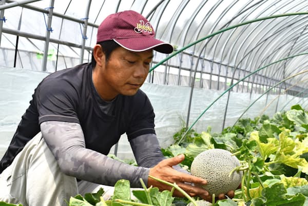 イバラキング生産の第一人者である根崎さん イバラキング生産の第一人者である根崎さん
